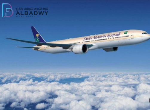 سيرة ذاتية قوية