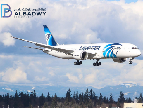 شركات الحاق العمالة بالخارج المرخصة من وزارة القوي العاملة